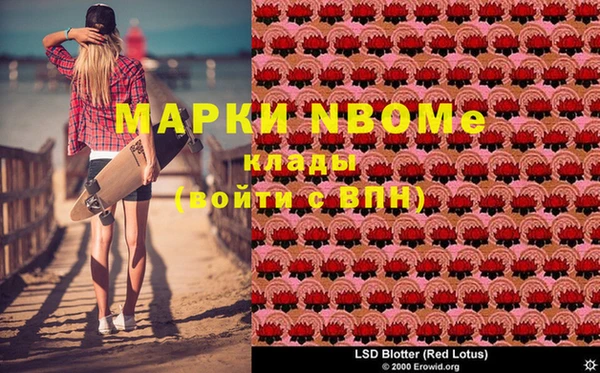 тгк Коряжма