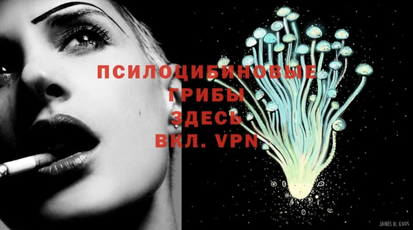 прущая мука Краснослободск