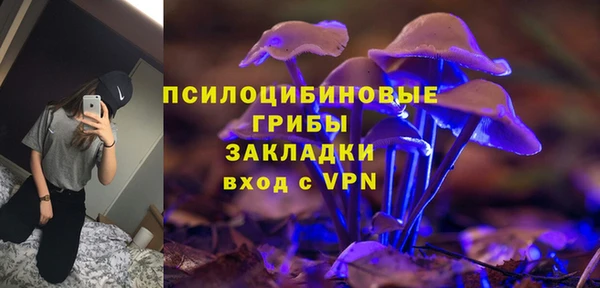 прущие крисы Краснотурьинск