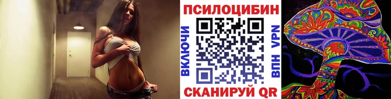 Купить закладки  Навашино  Псилоцибиновые грибы Psilocybine cubensis 
